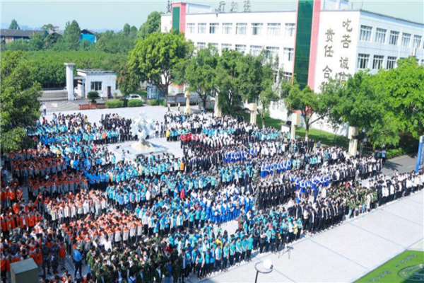 乐山市十大公立小学排名榜 乐山重点公立小学名单 第9张