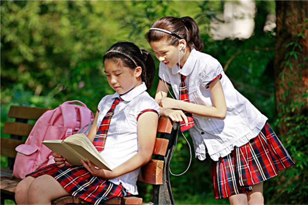 西昌公立小学排名前十 凉山西昌重点公立小学排行 第3张