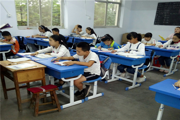 中山市有哪些重点小学 中山市十大公立小学排名 第19张