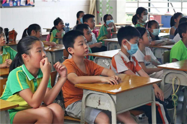 丽江市公立小学排名前十 丽江重点公立小学有哪些 第11张