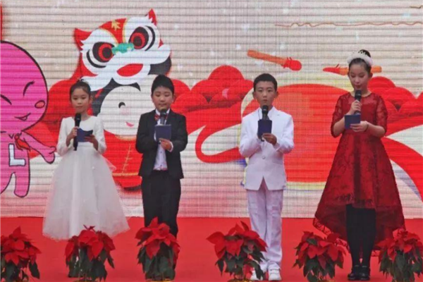 丽江市公立小学排名前十 丽江重点公立小学有哪些 第13张