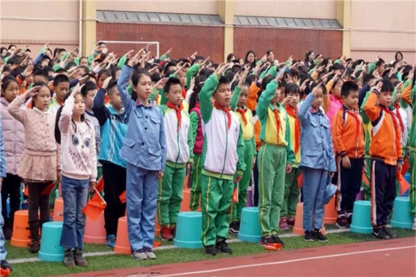 丽江市公立小学排名前十 丽江重点公立小学有哪些 第17张