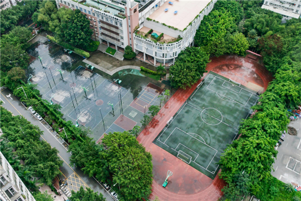深圳重点公立小学排名 深圳市十大公立小学排行榜 第19张