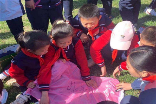 邢台市有哪些重点公立小学 邢台市公立小学排名 第11张