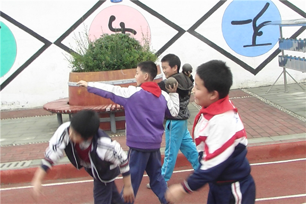 商丘重点公立小学有哪些 商丘市十大公立小学排名榜 第15张