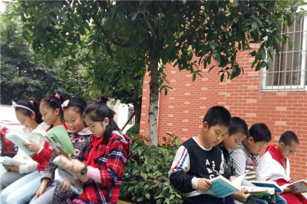 德阳市重点公立小学有哪些 德阳市十大公立小学排行榜 第13张