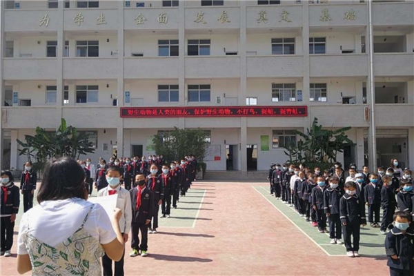 楚雄十大公立小学排名榜 楚雄重点公立小学有哪些 第3张