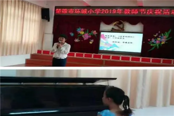 楚雄十大公立小学排名榜 楚雄重点公立小学有哪些 第11张