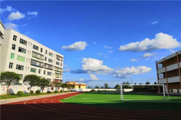 巴中市公立小学排名榜 巴中重点公立小学名单 第3张