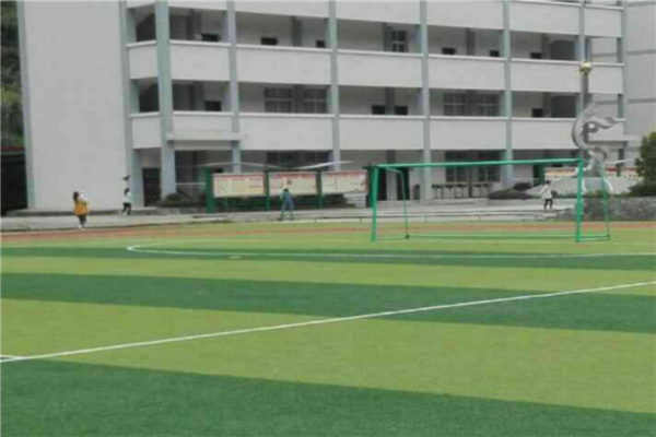 巴中市公立小学排名榜 巴中重点公立小学名单 第5张