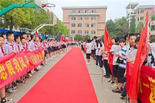 衡阳市十大公立小学排名榜 衡阳重点公立小学排名 第7张