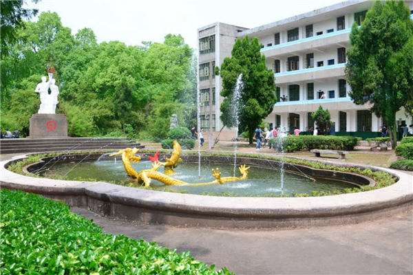 衡阳市十大公立小学排名榜 衡阳重点公立小学排名 第9张