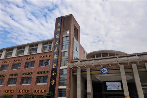 衡阳市十大公立小学排名榜 衡阳重点公立小学排名 第19张