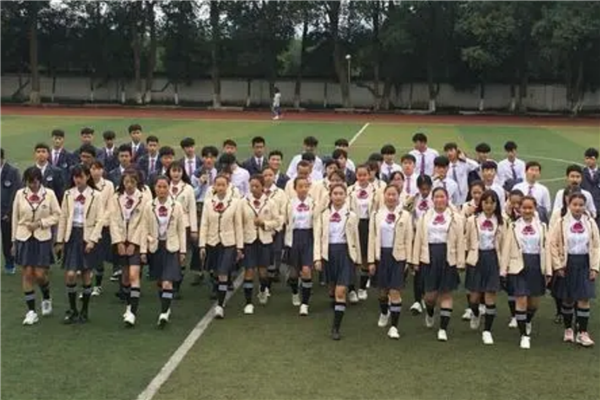 怀化市十大公立小学排名榜 怀化重点公立小学 第11张