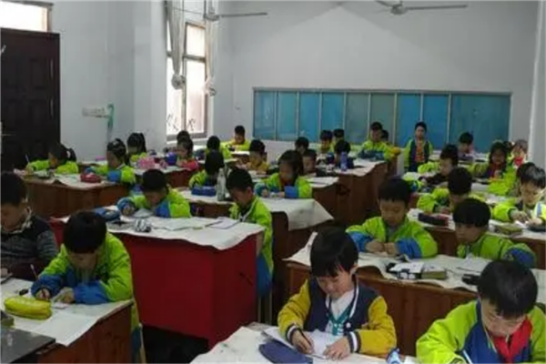 怀化市十大公立小学排名榜 怀化重点公立小学 第15张