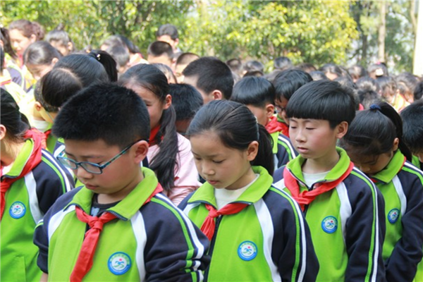 重庆市公立小学排名榜前十 重庆重点公立小学名单 第19张