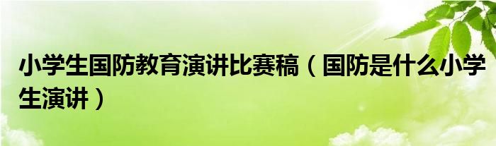 小学生国防教育演讲比赛稿（国防是什么小学生演讲） 第1张