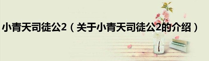 小青天司徒公2（关于小青天司徒公2的介绍） 第1张