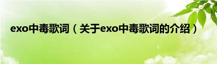 exo中毒歌词（关于exo中毒歌词的介绍） 第1张