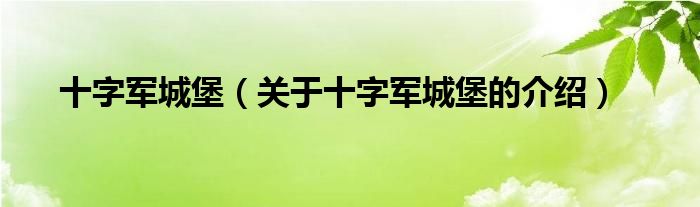 十字军城堡（关于十字军城堡的介绍） 第1张