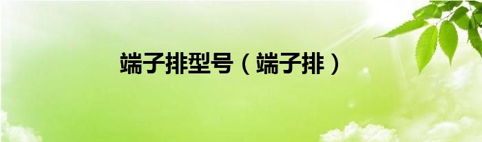端子排型号（端子排） 第1张