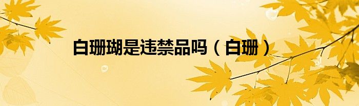 白珊瑚是违禁品吗（白珊） 第1张