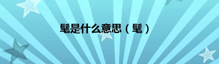 髦是什么意思（髦） 第1张