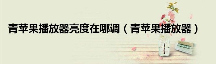 青苹果播放器亮度在哪调（青苹果播放器） 第1张