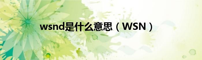 wsnd是什么意思（WSN） 第1张