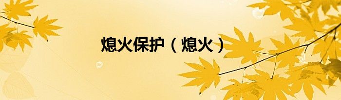 熄火保护（熄火） 第1张
