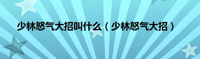 少林怒气大招叫什么（少林怒气大招） 第1张