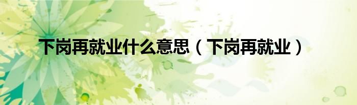 下岗再就业什么意思（下岗再就业） 第1张