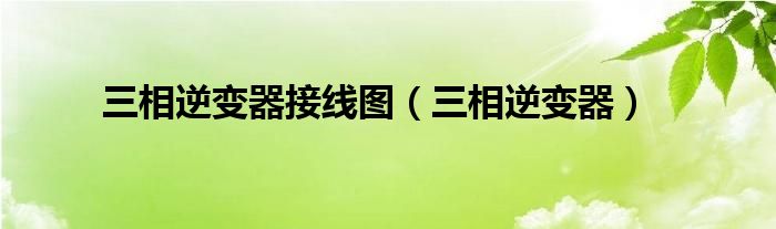 三相逆变器接线图（三相逆变器） 第1张