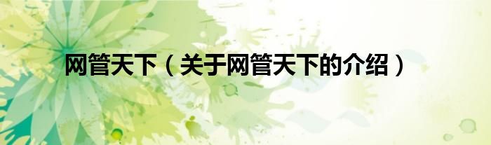 网管天下（关于网管天下的介绍） 第1张