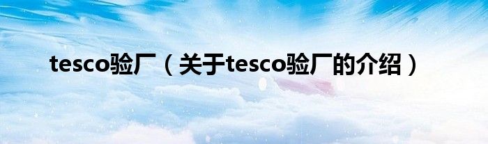 tesco验厂（关于tesco验厂的介绍） 第1张