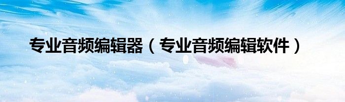 专业音频编辑器（专业音频编辑软件） 第1张
