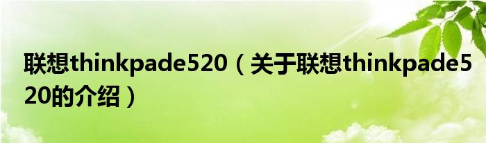 联想thinkpade520（关于联想thinkpade520的介绍） 第1张