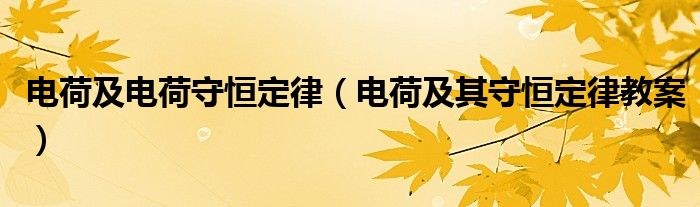 电荷及电荷守恒定律（电荷及其守恒定律教案） 第1张