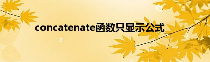 concatenate函数只显示公式 第1张