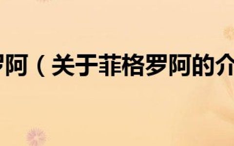 菲格罗阿（关于菲格罗阿的介绍）