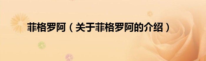 菲格罗阿（关于菲格罗阿的介绍） 第1张