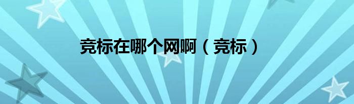 竞标在哪个网啊（竞标） 第1张