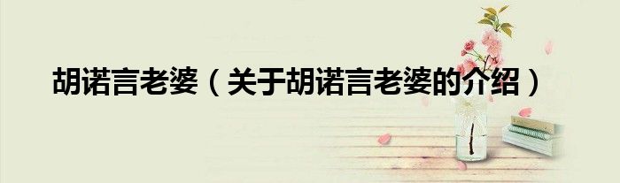 胡诺言老婆（关于胡诺言老婆的介绍） 第1张