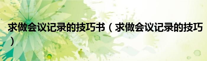 求做会议记录的技巧书（求做会议记录的技巧） 第1张