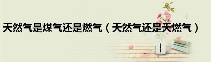 天然气是煤气还是燃气（天然气还是天燃气） 第1张