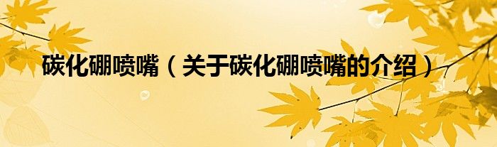 碳化硼喷嘴（关于碳化硼喷嘴的介绍） 第1张