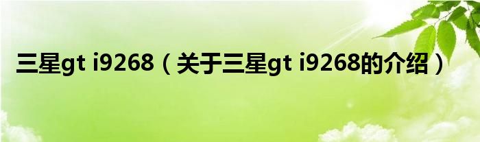 三星gt i9268（关于三星gt i9268的介绍） 第1张
