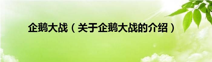 企鹅大战（关于企鹅大战的介绍） 第1张