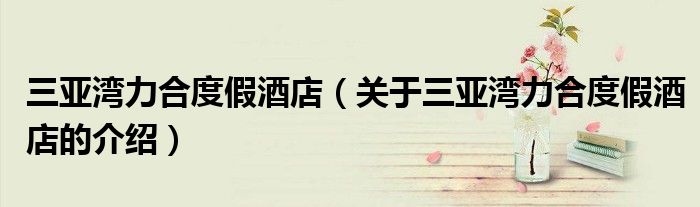 三亚湾力合度假酒店（关于三亚湾力合度假酒店的介绍） 第1张
