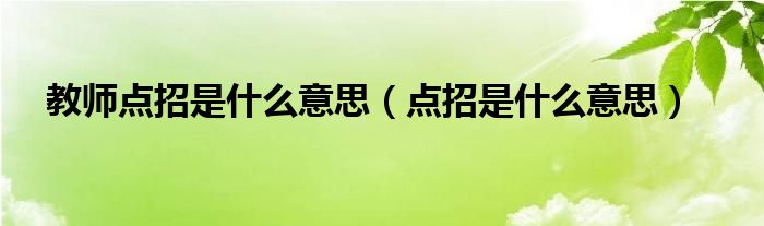 教师点招是什么意思（点招是什么意思） 第1张